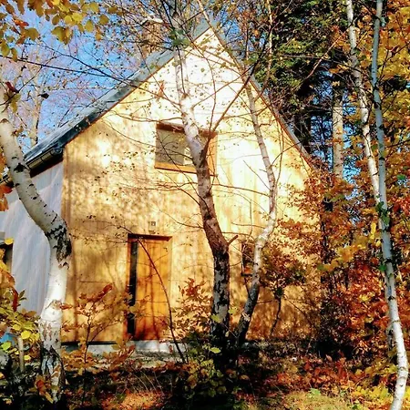 Orman Evi Na Sjezdovce