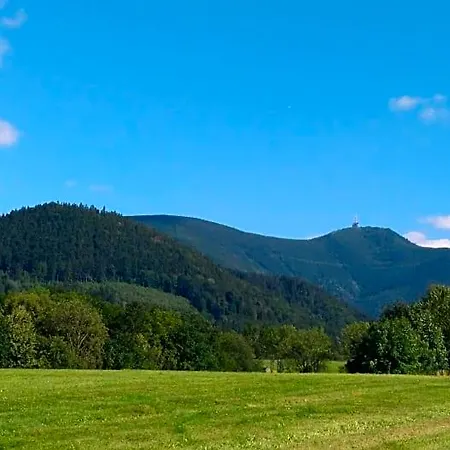 Na Sjezdovce Domek letniskowy *
